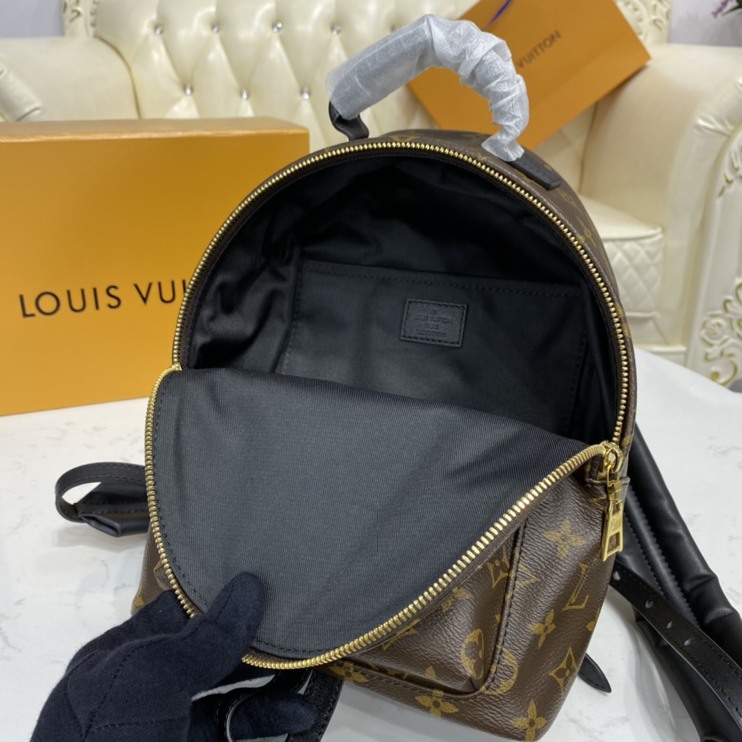 Louis Vuitton PALM SPRINGS MINI Backpack Monogram M44873